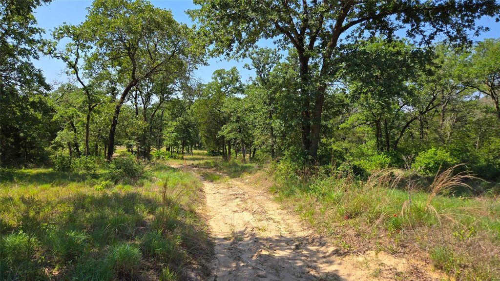277 Meuth Cemetery RD, Red Rock, TX 78662