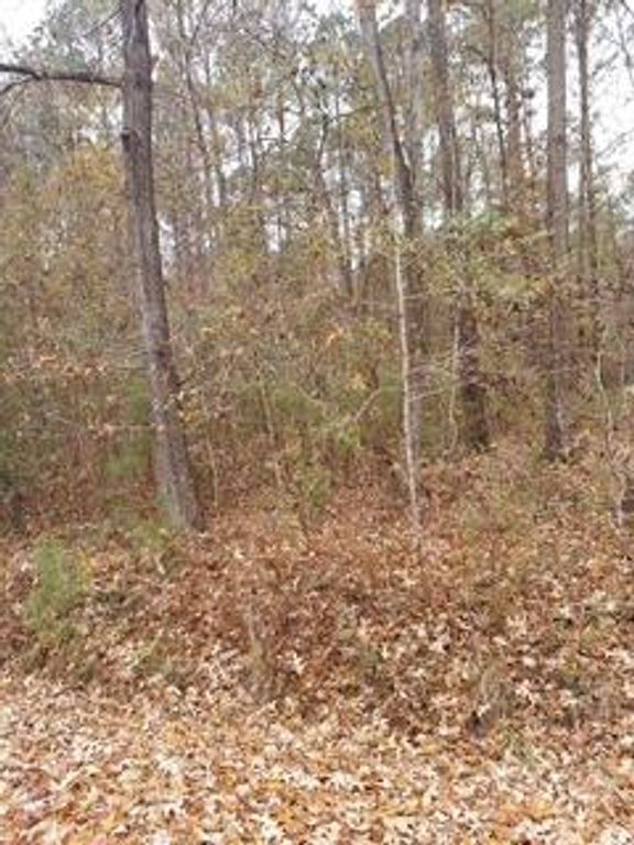 Lot 206 Prices Bridge Lane, Walterboro, SC 29488