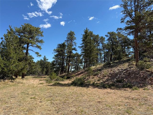 168 Main St, Red Feather Lakes, CO 80545