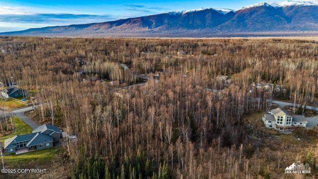 6121 N Talgach View Drive, Wasilla, AK 99654