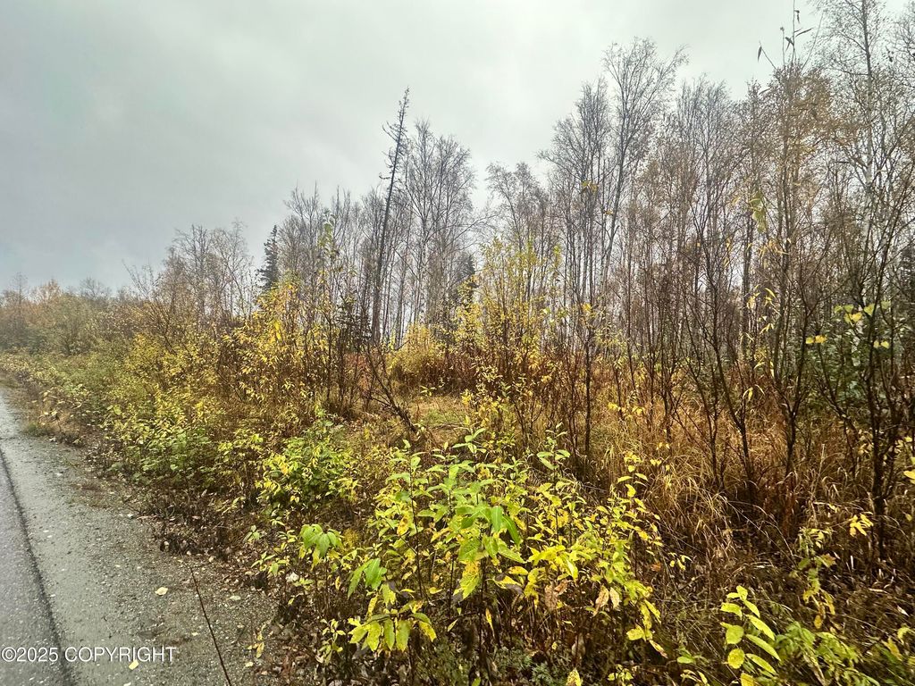 6121 N Talgach View Drive, Wasilla, AK 99654