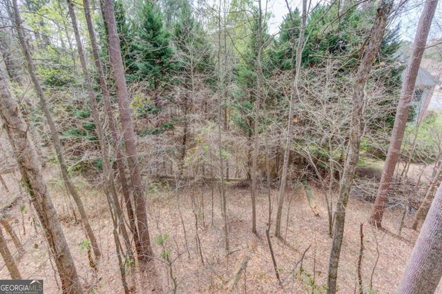 11007 Lorin Way, Duluth, GA 30097