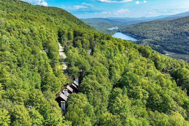 11 Blueberry Ledge Ridge L-3, Plymouth, VT 05056