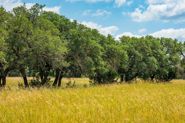 12995 Hackberry Rd, Rocksprings, TX 78880