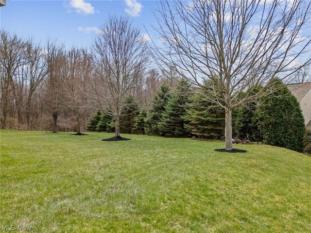 3196 Dunstone Circle, Akron, OH 44312