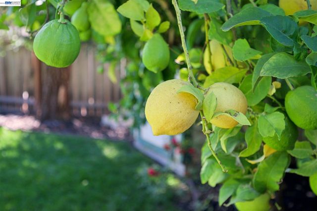 3469 Bernal Ave, Pleasanton, CA 94566