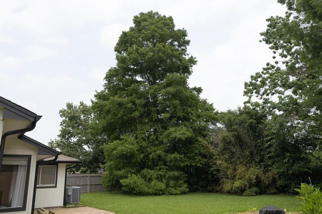 1204 Osborne Drive, Friendswood, TX 77546