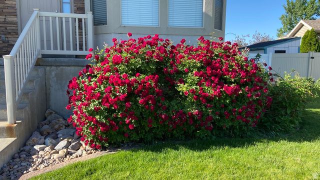 4641 W 5675 S, Hooper, UT 84315