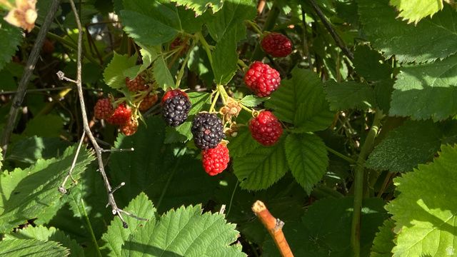 4641 W 5675 S, Hooper, UT 84315