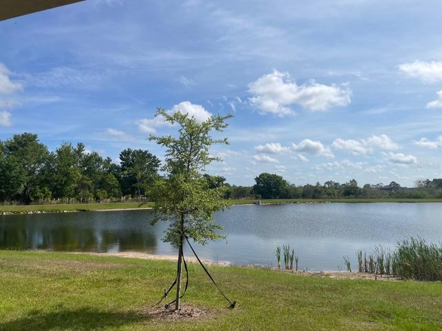 9766 CAMPANULA COURT, Land O Lakes, FL 34637