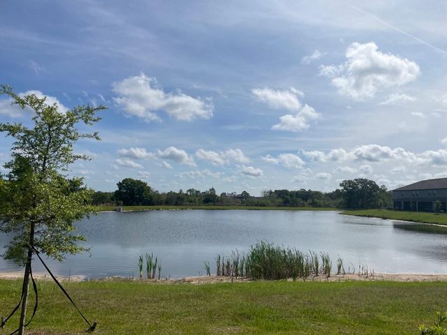 9766 CAMPANULA COURT, Land O Lakes, FL 34637