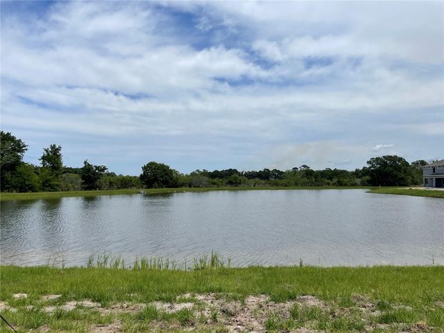 9766 CAMPANULA COURT, Land O Lakes, FL 34637