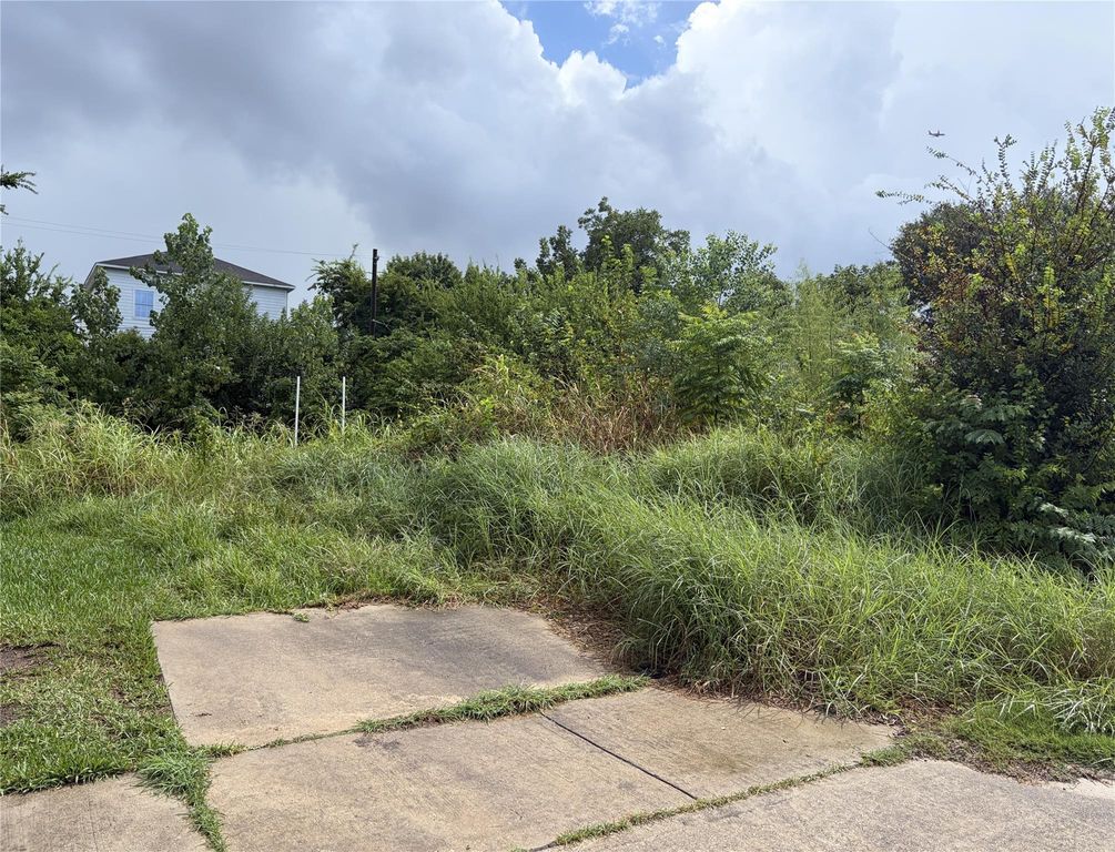 3323 Kelton Street, Houston, TX 77021