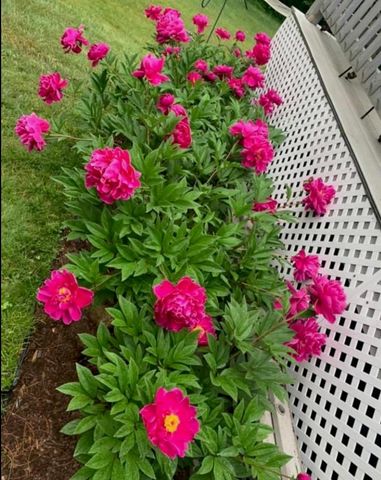 169 Main Street, Atkinson, NH 03811