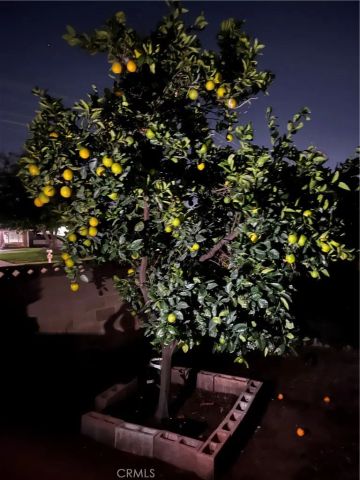 250 N Linden 148, Rialto, CA 92376