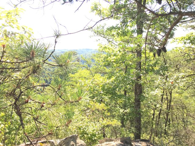 0 South Fork, Stanton, KY 40380