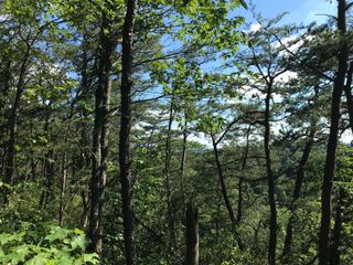 0 South Fork, Stanton, KY 40380