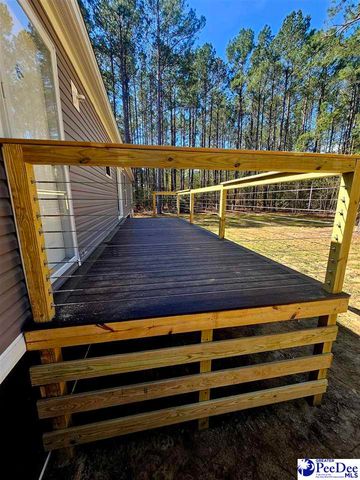 4067 Step Road, Wallace, SC 29596