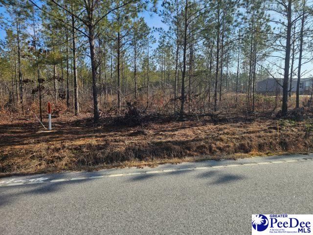 4067 Step Road, Wallace, SC 29596