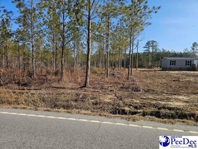 4067 Step Road, Wallace, SC 29596
