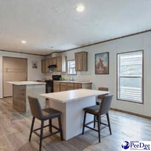 4067 Step Road, Wallace, SC 29596