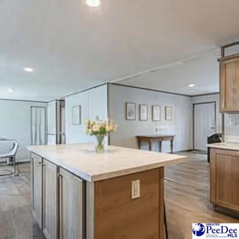 4067 Step Road, Wallace, SC 29596