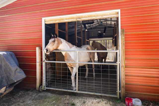 371 Rhode Drive, Cottageville, SC 29435