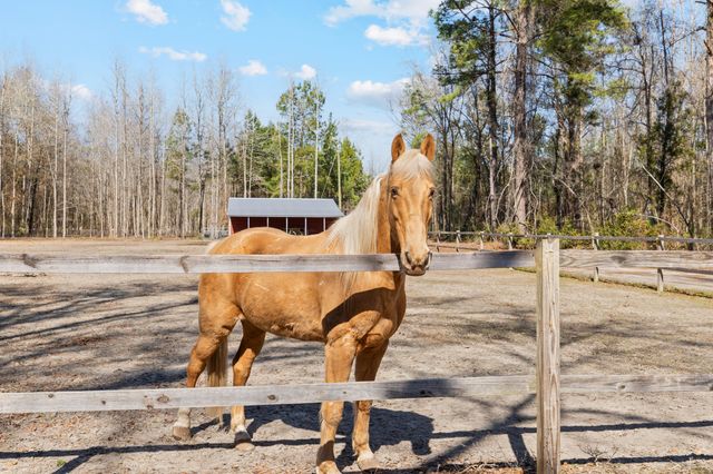 371 Rhode Drive, Cottageville, SC 29435