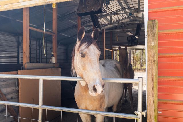 371 Rhode Drive, Cottageville, SC 29435