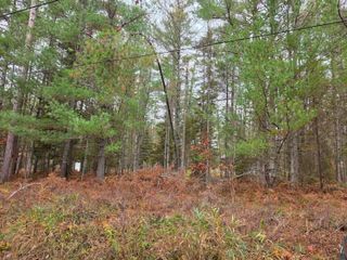 V/L 6 Lots Battalion Boulevard, Lots 1-2-3-48-49-50, Grayling, MI 49738