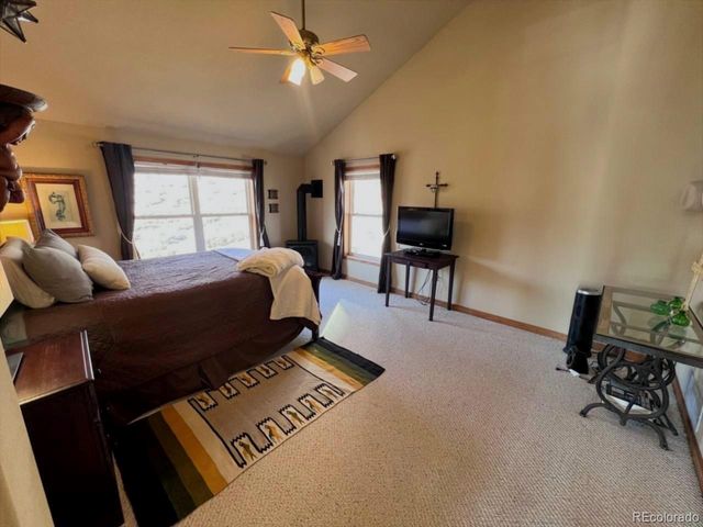 407 Mount Hope Drive, Twin Lakes, CO 81251