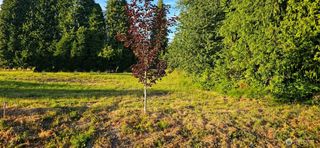 3578 Pennsylvania Street, Longview, WA 98632