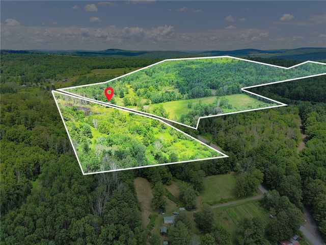 500 Ben Mccumber Road, Unadilla, NY 13849