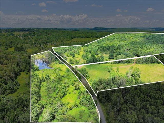 500 Ben Mccumber Road, Unadilla, NY 13849