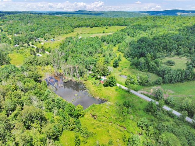 500 Ben Mccumber Road, Unadilla, NY 13849