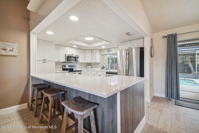 13382 Banyan Road, Spring Hill, FL 34609