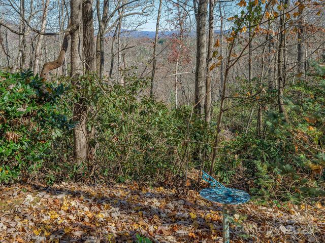 2508 Carriage Falls Court, Hendersonville, NC 28791