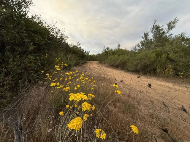 0 Mt. Olympus Valley, Fallbrook, CA 92028