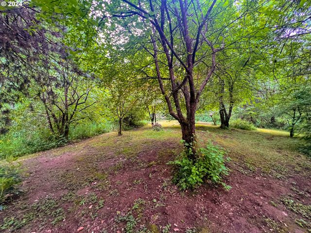 71911 BEAVER SPRINGS Rd, Rainier, OR 97048