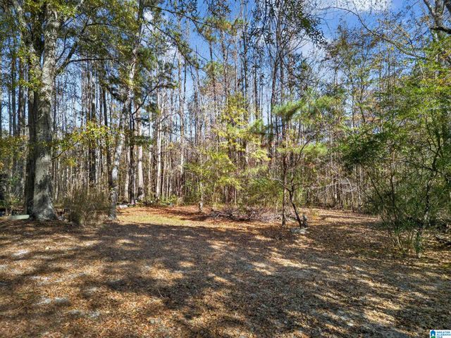 206 PRUITT ROAD, Piedmont, AL 36272