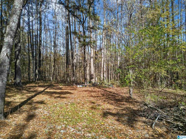 206 PRUITT ROAD, Piedmont, AL 36272