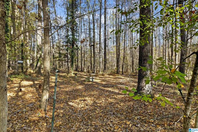 206 PRUITT ROAD, Piedmont, AL 36272