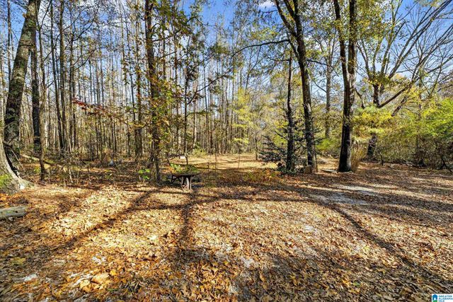 206 PRUITT ROAD, Piedmont, AL 36272
