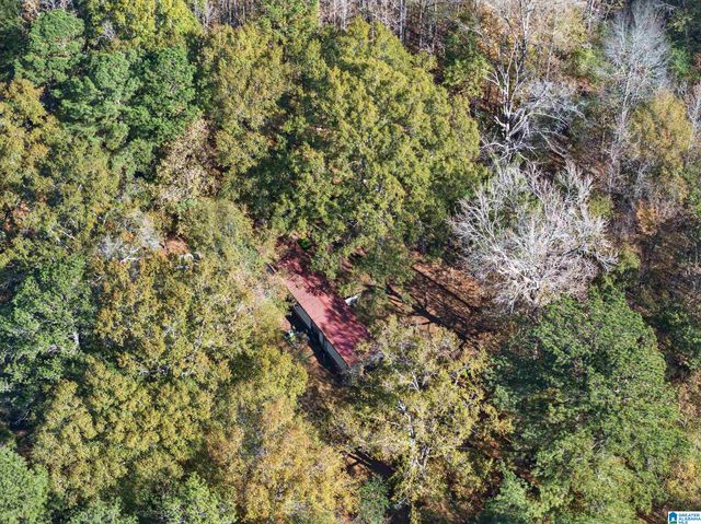 206 PRUITT ROAD, Piedmont, AL 36272