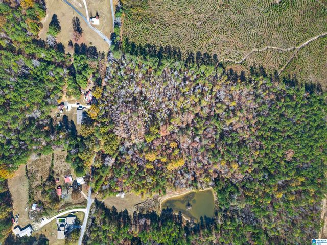 206 PRUITT ROAD, Piedmont, AL 36272