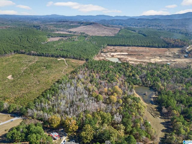 206 PRUITT ROAD, Piedmont, AL 36272