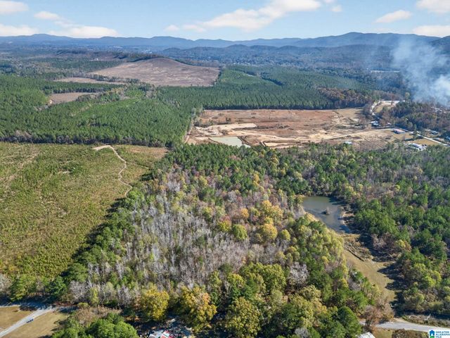 206 PRUITT ROAD, Piedmont, AL 36272