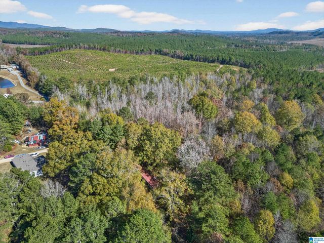 206 PRUITT ROAD, Piedmont, AL 36272