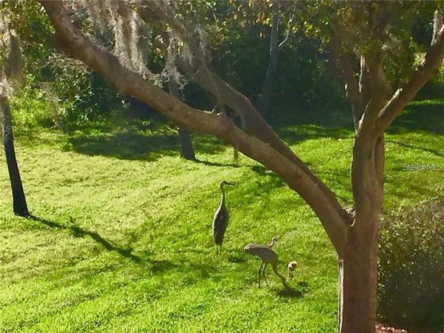 8830 CORAL PALMS COURT B, Kissimmee, FL 34747