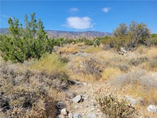 0 Tamarack, Pinon Hills, CA 92372